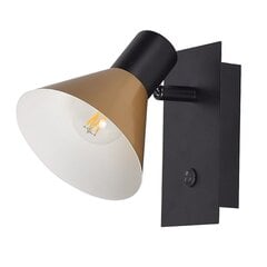Alvaro 3157 цена и информация | Настенный светильник Конусы | kaup24.ee