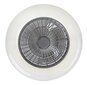 Ventilaatoriga valgusti Dalfon 6859 hind ja info | Ventilaatoriga valgustid | kaup24.ee