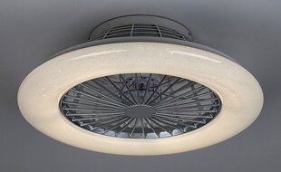 Ventilaatoriga valgusti Dalfon 6859 hind ja info | Ventilaatoriga valgustid | kaup24.ee