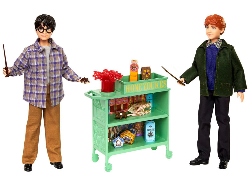 Mattel ZA5082 Harry Potteri ja Ron Sigatüüka nukukomplekt цена и информация | Tüdrukute mänguasjad | kaup24.ee