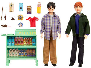Mattel ZA5082 Harry Potteri ja Ron Sigatüüka nukukomplekt hind ja info | Tüdrukute mänguasjad | kaup24.ee