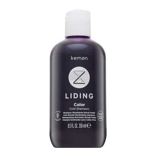 Juuksešampoon värvitud juustele Kemon Liding Color Cold Shampoo, 250 ml hind ja info | Šampoonid | kaup24.ee