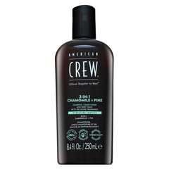 Juuksešampoon 3in1 American Crew Chamolie + Pine, meestele, 250 ml цена и информация | Шампуни | kaup24.ee