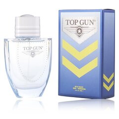 Top Gun Chevron Eau de Toilette meestele 100 ml hind ja info | Meeste parfüümid | kaup24.ee