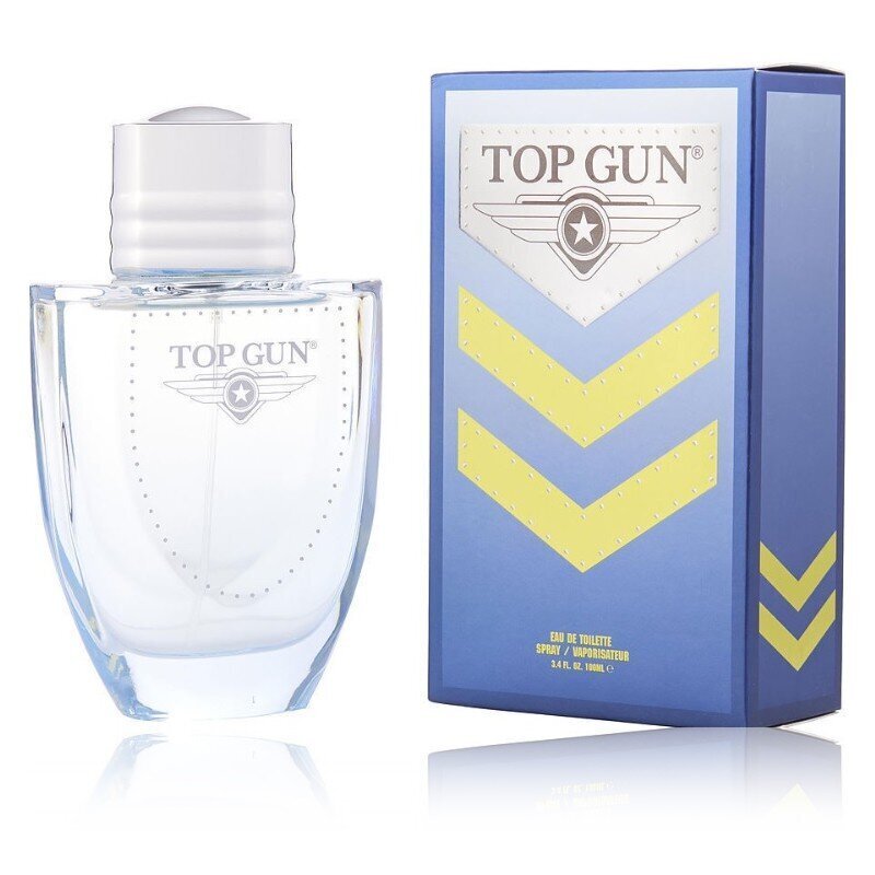 Top Gun Chevron Eau de Toilette meestele 100 ml hind ja info | Meeste parfüümid | kaup24.ee