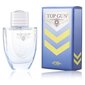 Top Gun Chevron Eau de Toilette meestele 100 ml цена и информация | Meeste parfüümid | kaup24.ee