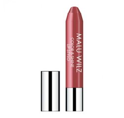 Huulepulk Malu Wilz Color & Shine Lip Stylo nr. 50 Soft Bordeaux, 3.5 g hind ja info | Huulepulgad, -läiked, -palsamid, vaseliin | kaup24.ee