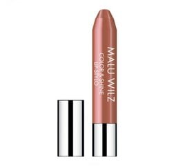 Губная помада Malu Wilz Color & Shine Lip Stylo №30 Latte Brown, 3,5 г цена и информация | Помады, бальзамы, блеск для губ | kaup24.ee