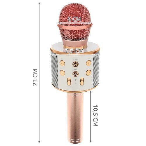 Izoxis 22190 цена и информация | Mikrofonid | kaup24.ee