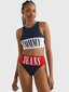 Tommy Hilfiger bikiinipüksid naistele Hw Cheeky Logo 545663415, sinine цена и информация | Naiste ujumisriided | kaup24.ee