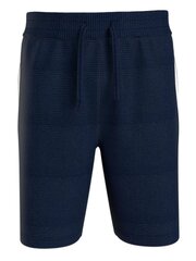 Tommy Hilfigeri lühikesed püksid meestele Hwk UM0UM03008DW5 545667722, sinine hind ja info | Meeste lühikesed püksid | kaup24.ee
