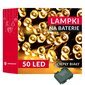 Led valguskett CL4027, 50 Led цена и информация | Jõulutuled | kaup24.ee