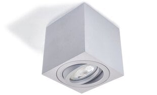 Квадратный накладной галогенный светильник LED Cubo, матовый черный/серебро цена и информация | Потолочные светильники | kaup24.ee