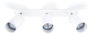 Coloreno sisseehitatud LED-lamp Lungo 3 цена и информация | Монтируемые светильники, светодиодные панели | kaup24.ee