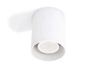 Галогенный светильник LED Creep x1 фиксированный алюминиевый накладной, белый цена и информация | Потолочные светильники | kaup24.ee