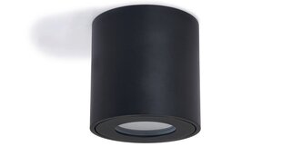 Фиксированный алюминиевый накладной галогенный светильник IP54 LED Cubo Aqua - Белый цена и информация | Потолочные светильники | kaup24.ee
