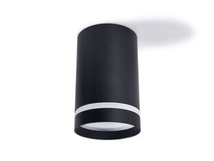 Накладной фиксированный круглый галогенный светильник LED Ring, белый цена и информация | Потолочные светильники | kaup24.ee