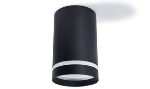 Eco-Light laelamp Ring hind ja info | Laelambid | kaup24.ee