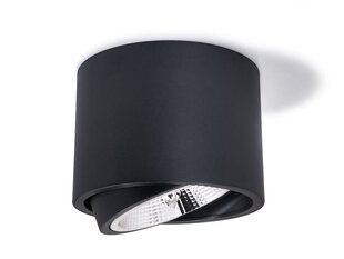 Накладной настенно-потолочный светодиодный светильник AR111 "Орбита" - белый цена и информация | Потолочные светильники | kaup24.ee
