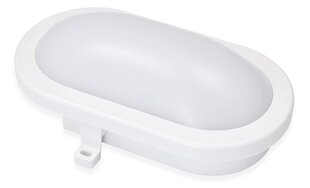 Канальный светильник IP65 LED Torton 20W White - Нейтральный белый (4000K) цена и информация | Настенные светильники | kaup24.ee