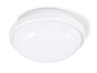 Канальный светильник IP65 LED Torton 15W White - Нейтральный белый (4000K) цена и информация | Настенные светильники | kaup24.ee