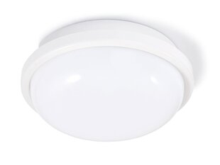 Канальный светильник IP65 LED Torton 20W White - Нейтральный белый (4000K) цена и информация | Настенный светильник Конусы | kaup24.ee