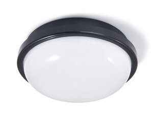 Канальный светильник IP65 LED Torton 20W White - Нейтральный белый (4000K) цена и информация | Настенный светильник Конусы | kaup24.ee
