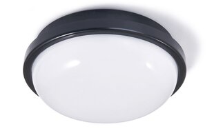 Kanalvalgusti LED Torton цена и информация | Настенные светильники | kaup24.ee