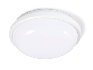 Канальный светильник IP65 LED Torton 20W White - Нейтральный белый (4000K) цена и информация | Настенный светильник Конусы | kaup24.ee