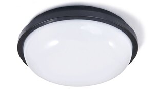 Канальный светильник IP65 LED Torton 20W Черный - Нейтральный белый (4000K) цена и информация | Потолочные светильники | kaup24.ee