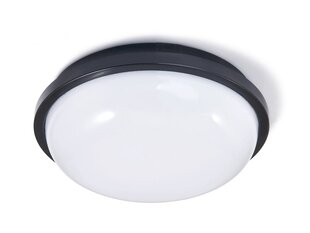 Канальный светильник IP65 LED Torton 20W Черный - Нейтральный белый (4000K) цена и информация | Eco light Мебель и домашний интерьер | kaup24.ee