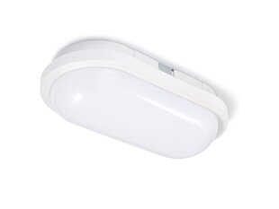 Овальный канальный светильник LED Torton 20W White - Neutral White (4000K) IP65 цена и информация | Eco light Мебель и домашний интерьер | kaup24.ee