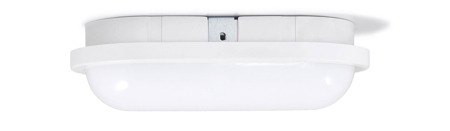 Eco-Light ovaalse kanaliga valgusti LED Torton hind ja info | Laelambid | kaup24.ee