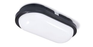 Овальный канальный светильник LED Torton 20W Black - Neutral White (4000K) IP65 цена и информация | Потолочные светильники | kaup24.ee