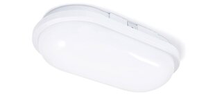 Овальный канальный светильник LED Torton 20W White - Neutral White (4000K) IP65 цена и информация | Потолочные светильники | kaup24.ee