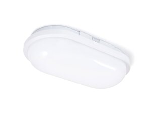 Овальный канальный светильник LED Torton 20W White - Neutral White (4000K) IP65 цена и информация | Потолочные светильники | kaup24.ee