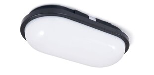 Овальный канальный светильник LED Torton 20W Black - Neutral White (4000K) IP65 цена и информация | Eco light Мебель и домашний интерьер | kaup24.ee