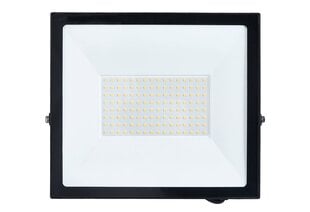 LED-valgusti, halogeen Tiga 100W, must цена и информация | Фонарики, прожекторы | kaup24.ee
