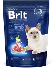 Brit Dry Premium steriliseeritud kassidele koos lambaga, 300 g цена и информация | Сухой корм для кошек | kaup24.ee