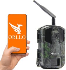 Metsakaamera Orllo Huntercam 3 GSM цена и информация | Камеры видеонаблюдения | kaup24.ee