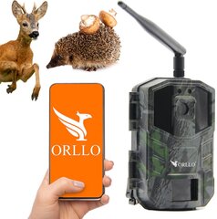 Metsakaamera Orllo Huntercam 3 GSM цена и информация | Камеры видеонаблюдения | kaup24.ee