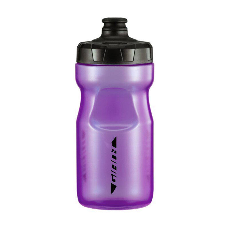 Joogipudel Giant ARX 400ML Transparent Purple, läbipaistev-lilla hind ja info | Joogipudelid | kaup24.ee
