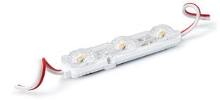 LED-moodul 2835 IP68 1.08W - Samsung, 6500K цена и информация | Светодиодные ленты | kaup24.ee