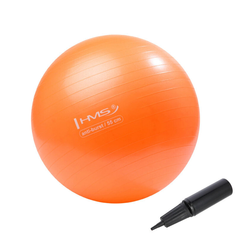 Võimlemispall HMS YB02N Gym Ball 55 cm, oranž цена и информация | Võimlemispallid | kaup24.ee