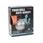 Võimlemispall HMS YB02N Gym Ball 55 cm, oranž hind ja info | Võimlemispallid | kaup24.ee