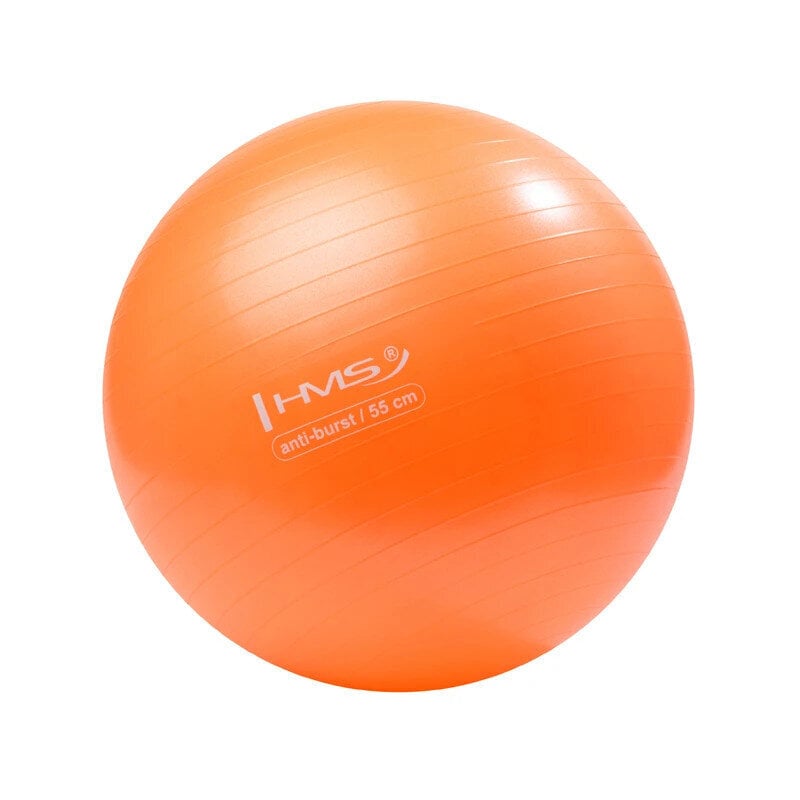 Võimlemispall HMS YB02N Gym Ball 55 cm, oranž цена и информация | Võimlemispallid | kaup24.ee