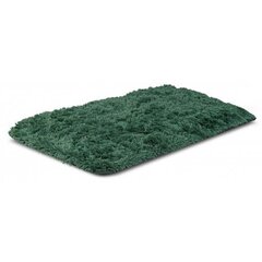 Ковер длинноворсовый нескользящий, зелёный, 80х120 см. цена и информация | Коврики | kaup24.ee