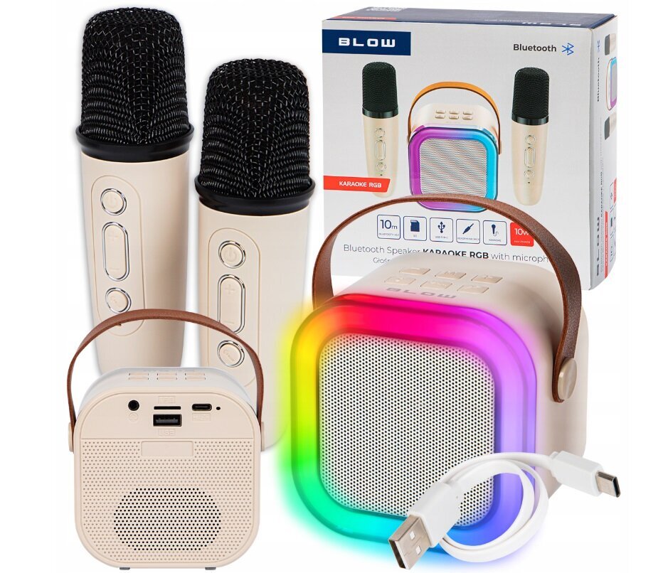 Bluetooth minikõlar karaokega цена и информация | Arendavad mänguasjad | kaup24.ee