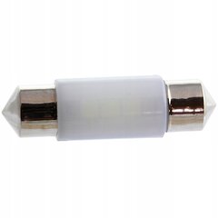 Led-Lambi C5w C10w 36mm Sisemine Serv, ME Premium hind ja info | Autopirnid | kaup24.ee