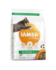 Iams for Vitality täiskasvanud kassidele lõhega, 1,5 kg цена и информация | Сухой корм для кошек | kaup24.ee